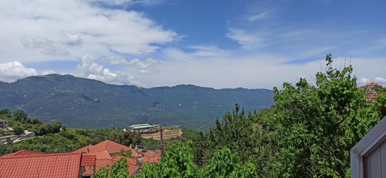 Hotel Βαδόκειος Γη à Zitsa Extérieur photo